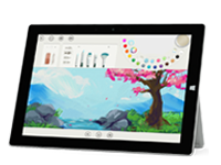 镇赉Surface 无法开启、Windows 无法启动或电池无法充电